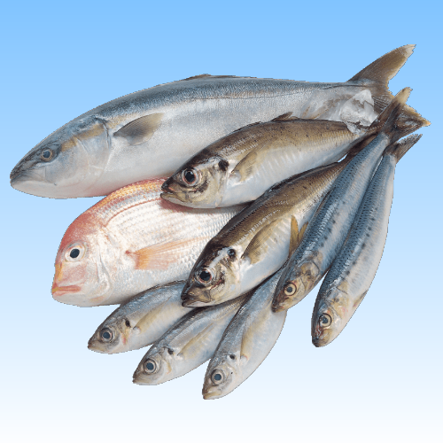 Picture for category Fish
