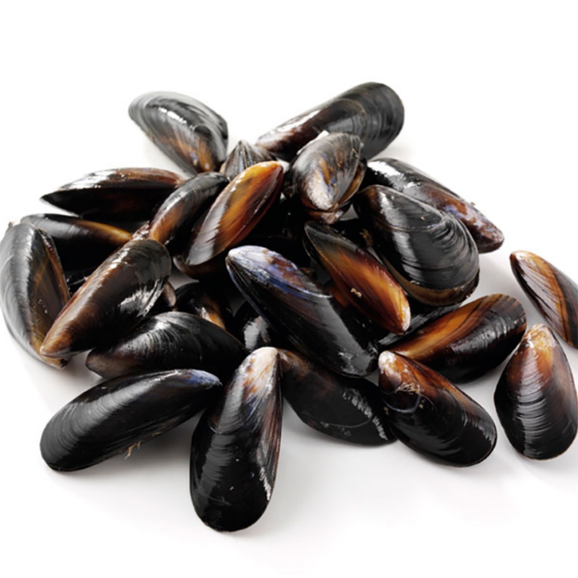 Picture of Mussels Live Black 1kg