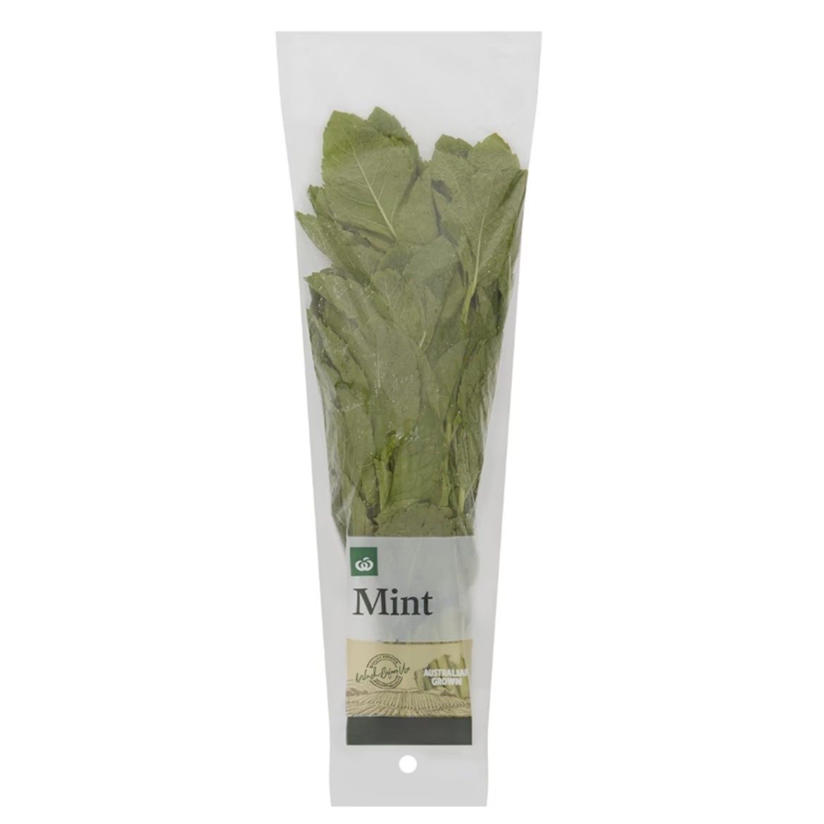 Picture of Mint Herb
