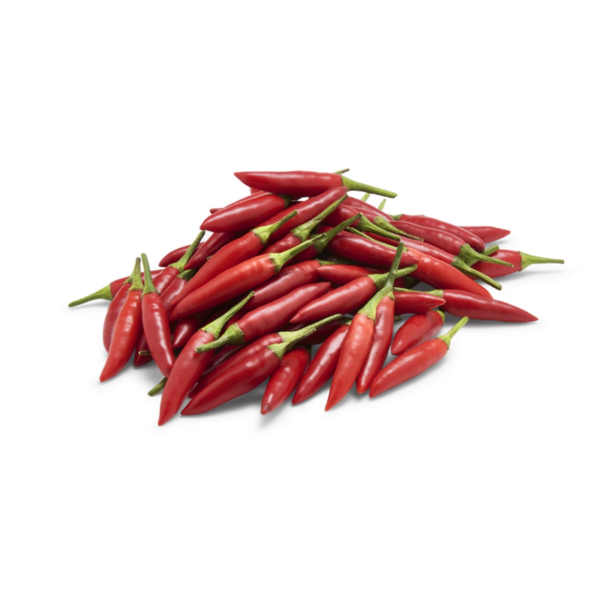 Picture of Chilli Hot Bird's Eye Each