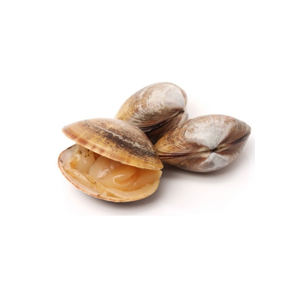 Picture of Clams Asian 1kg