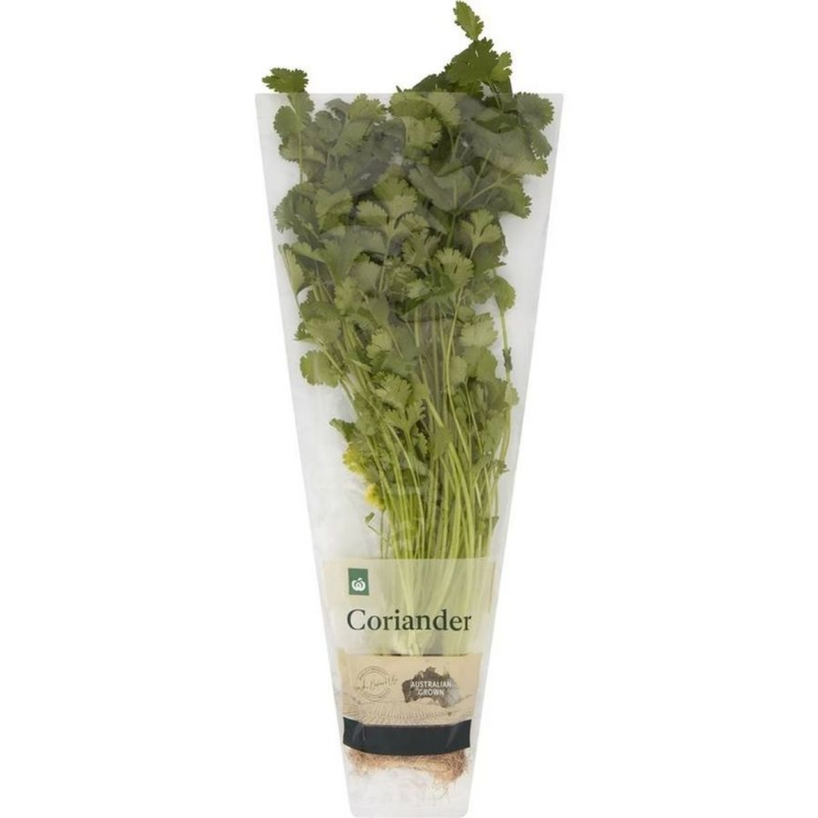 Picture of Coriander Herb Bunch