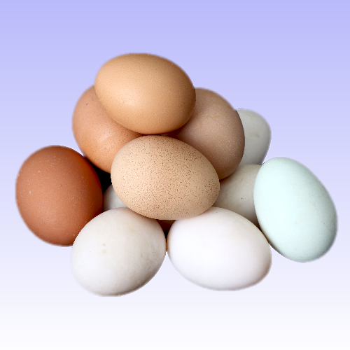 Picture for category Eggs