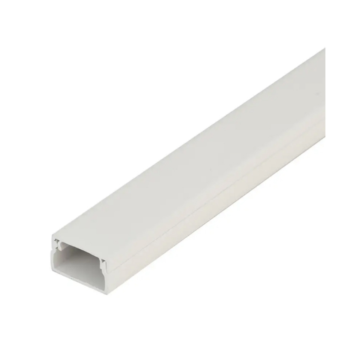 Picture of Trunking 