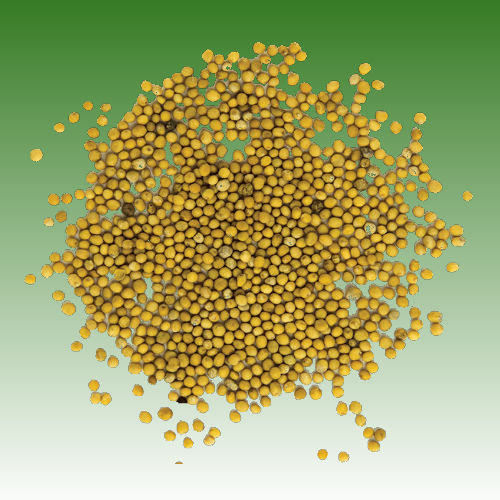 Picture for category Other Vegetable