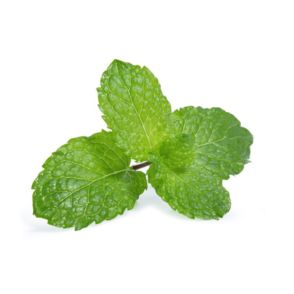 Picture of Mint bunch