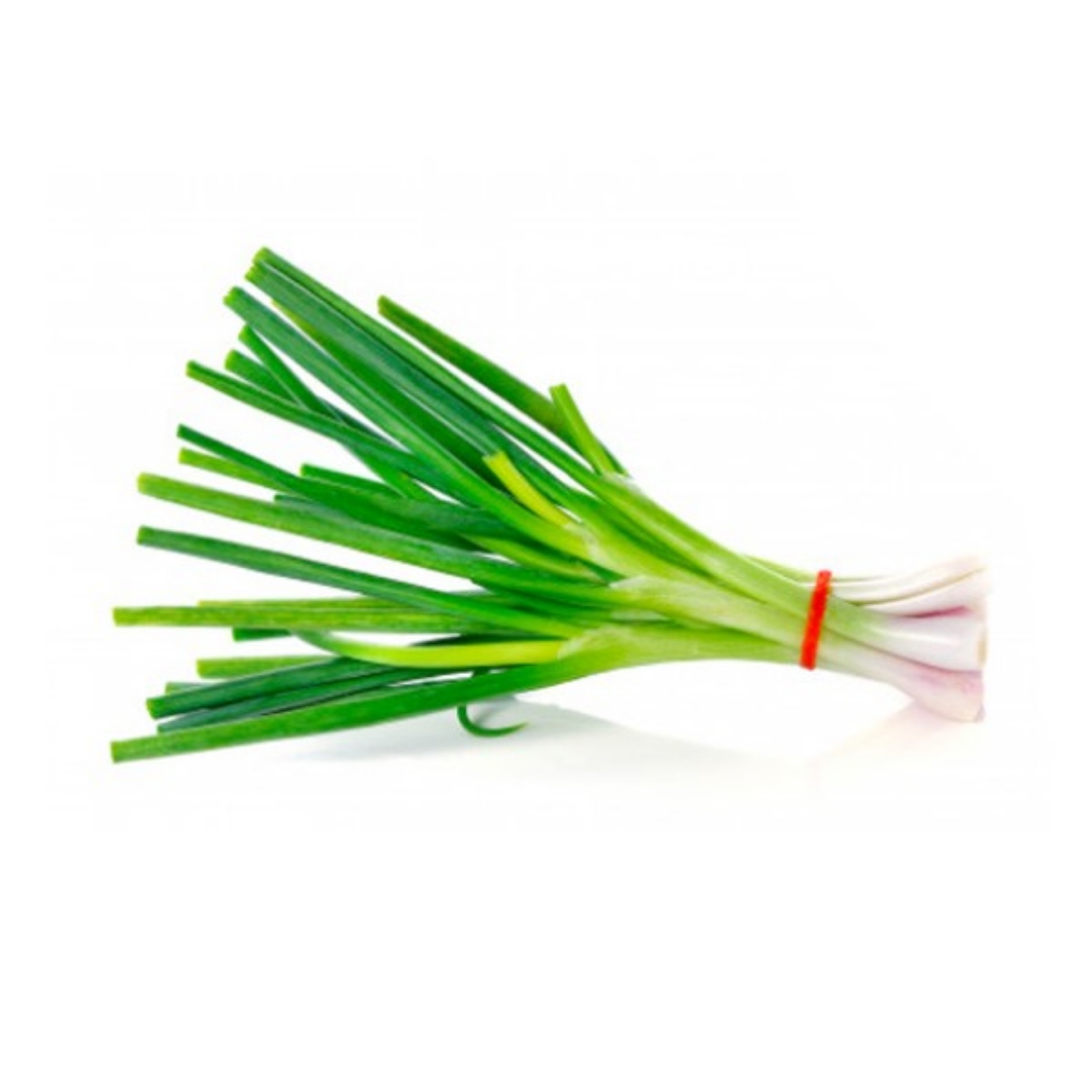 Picture of Spring Onions 