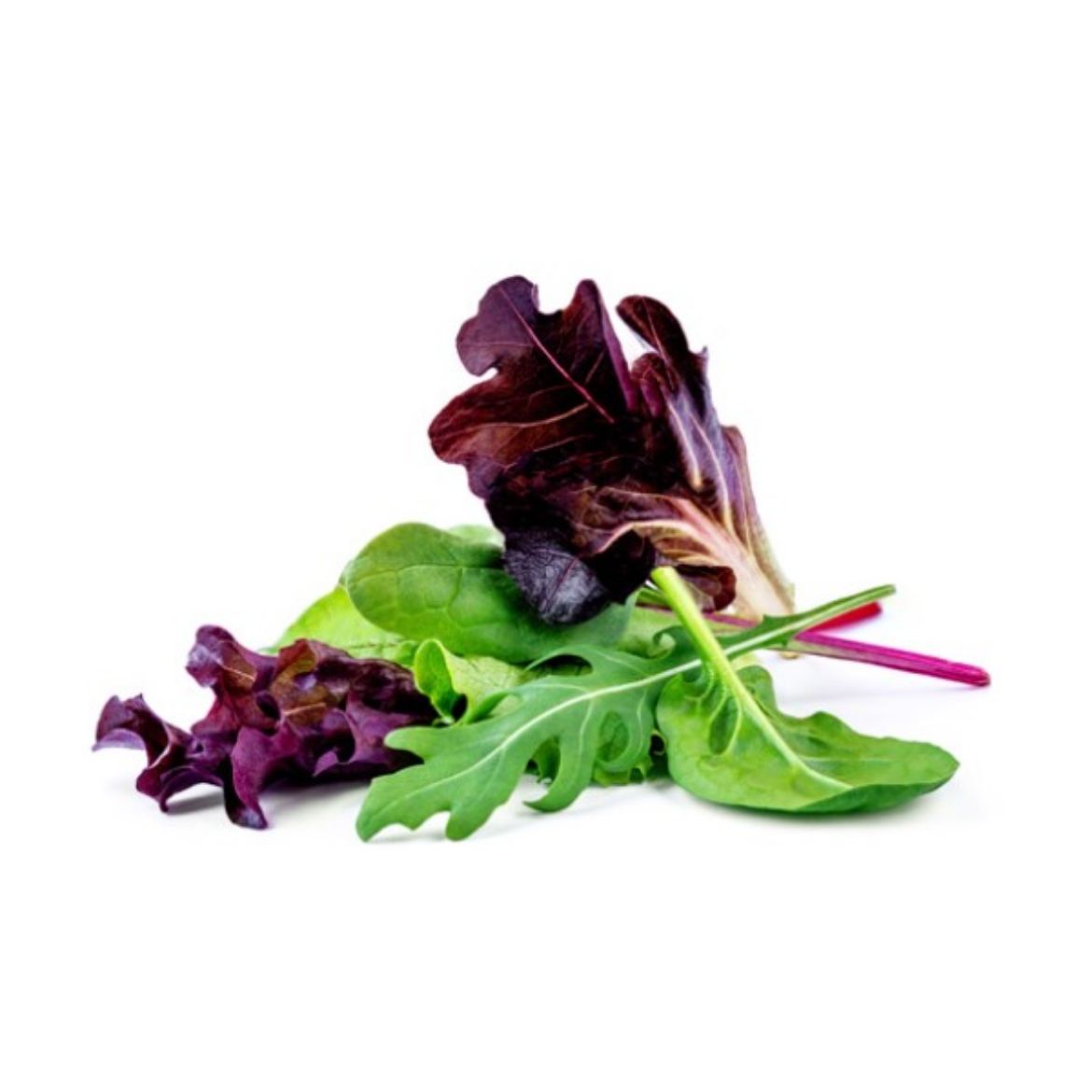 Picture of Salad Mix Box 1.5kg