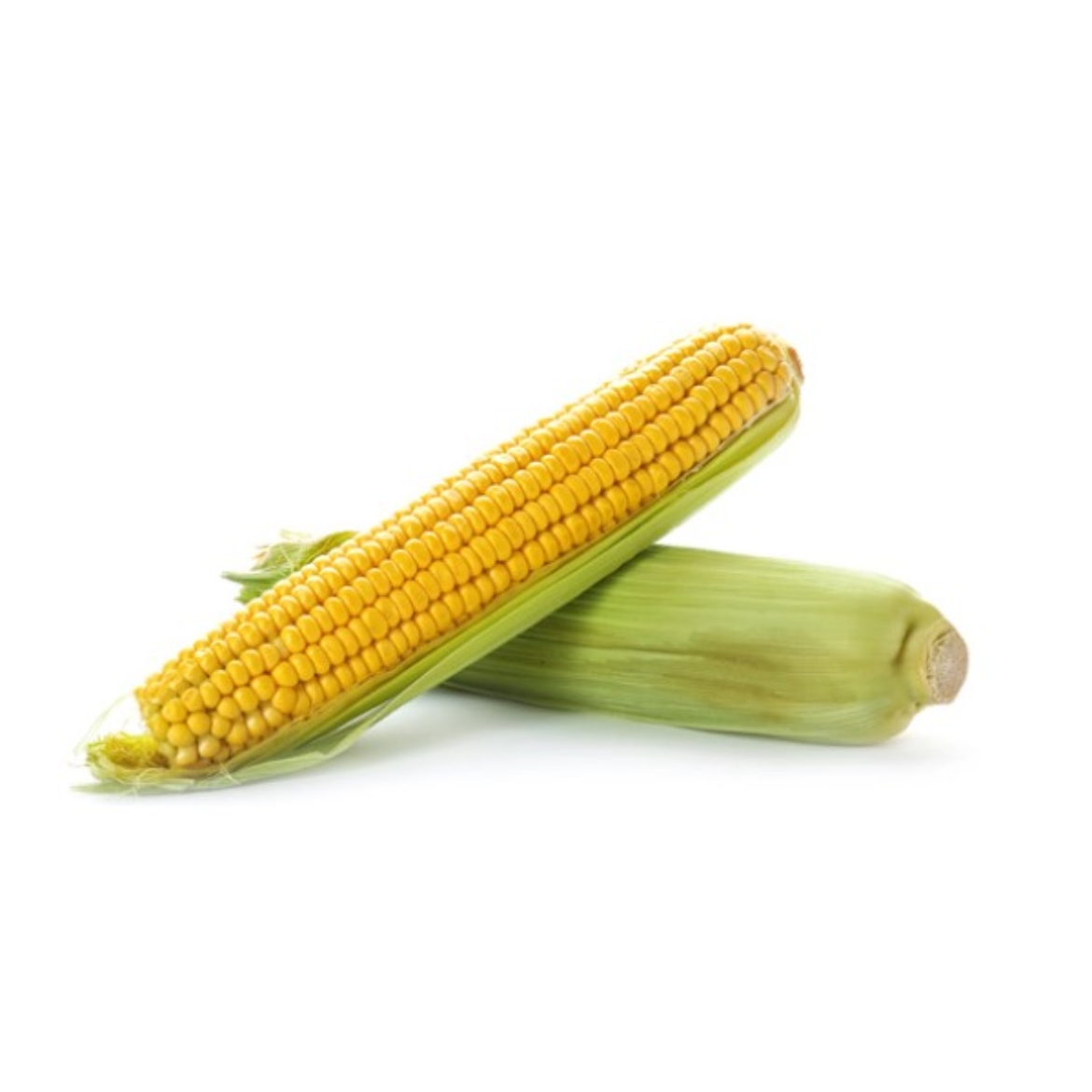 Sweet Corn On The Cob の画像