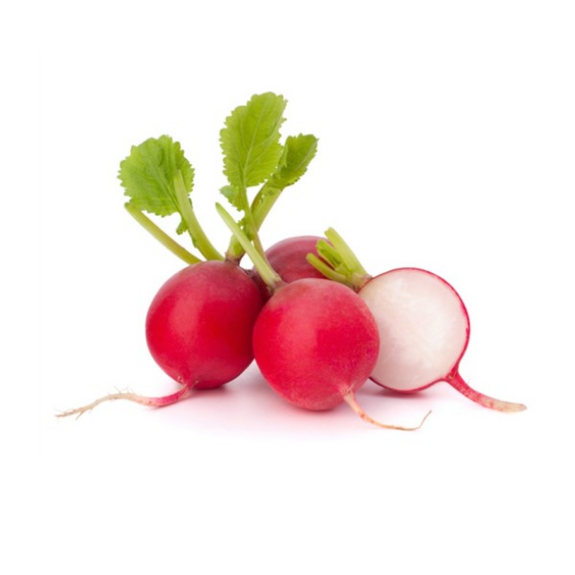 Picture of Veg Red Radish 