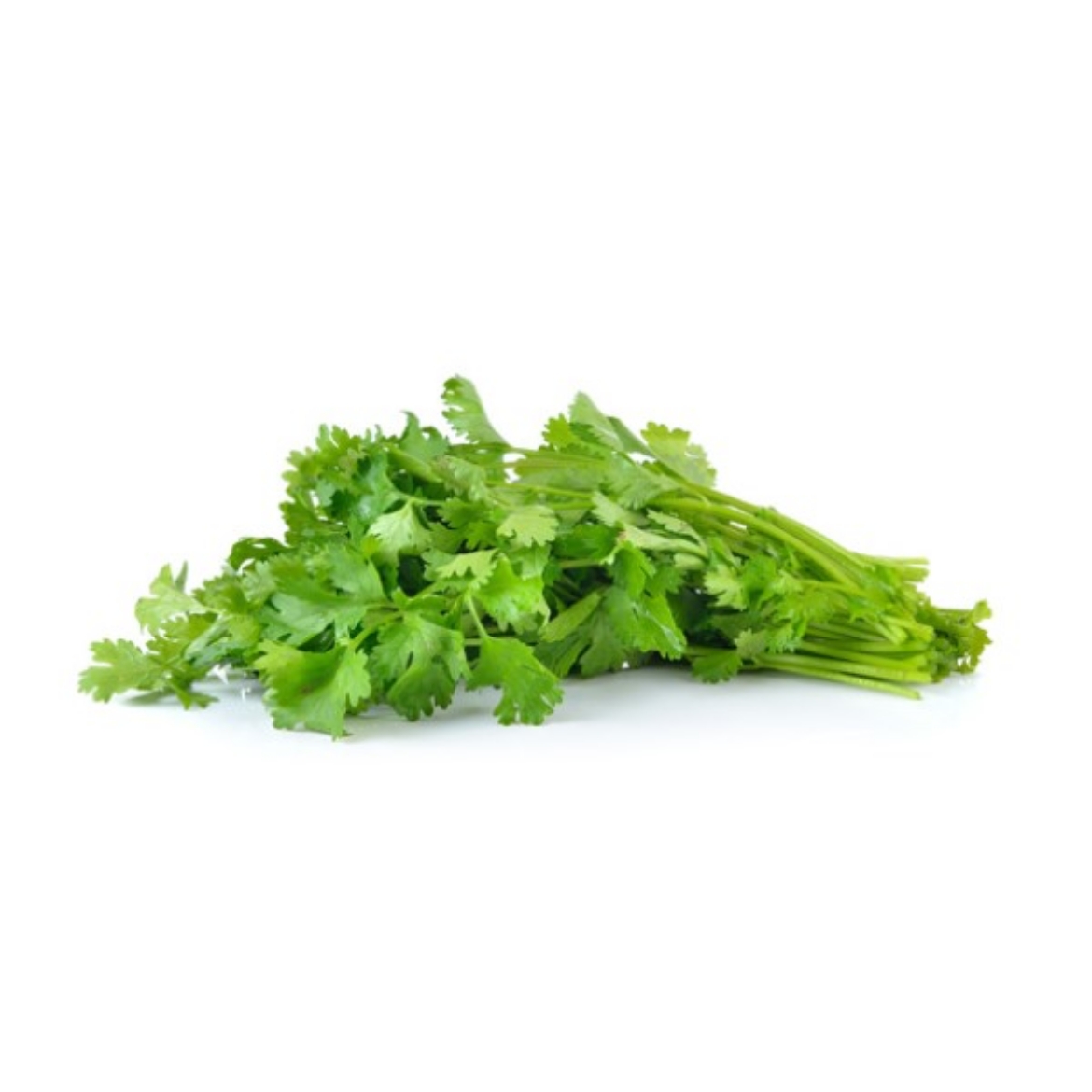 Picture of Coriander
