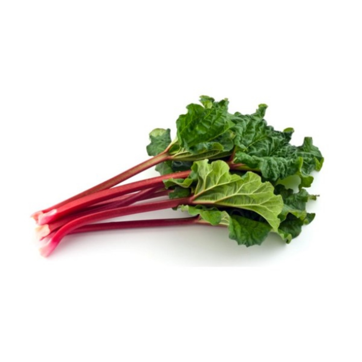 Picture of Rhubarb Bunch