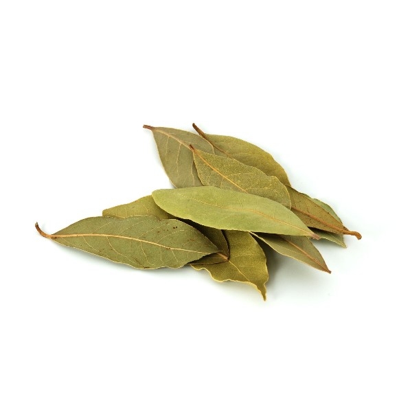 Picture of Leaves Bay  