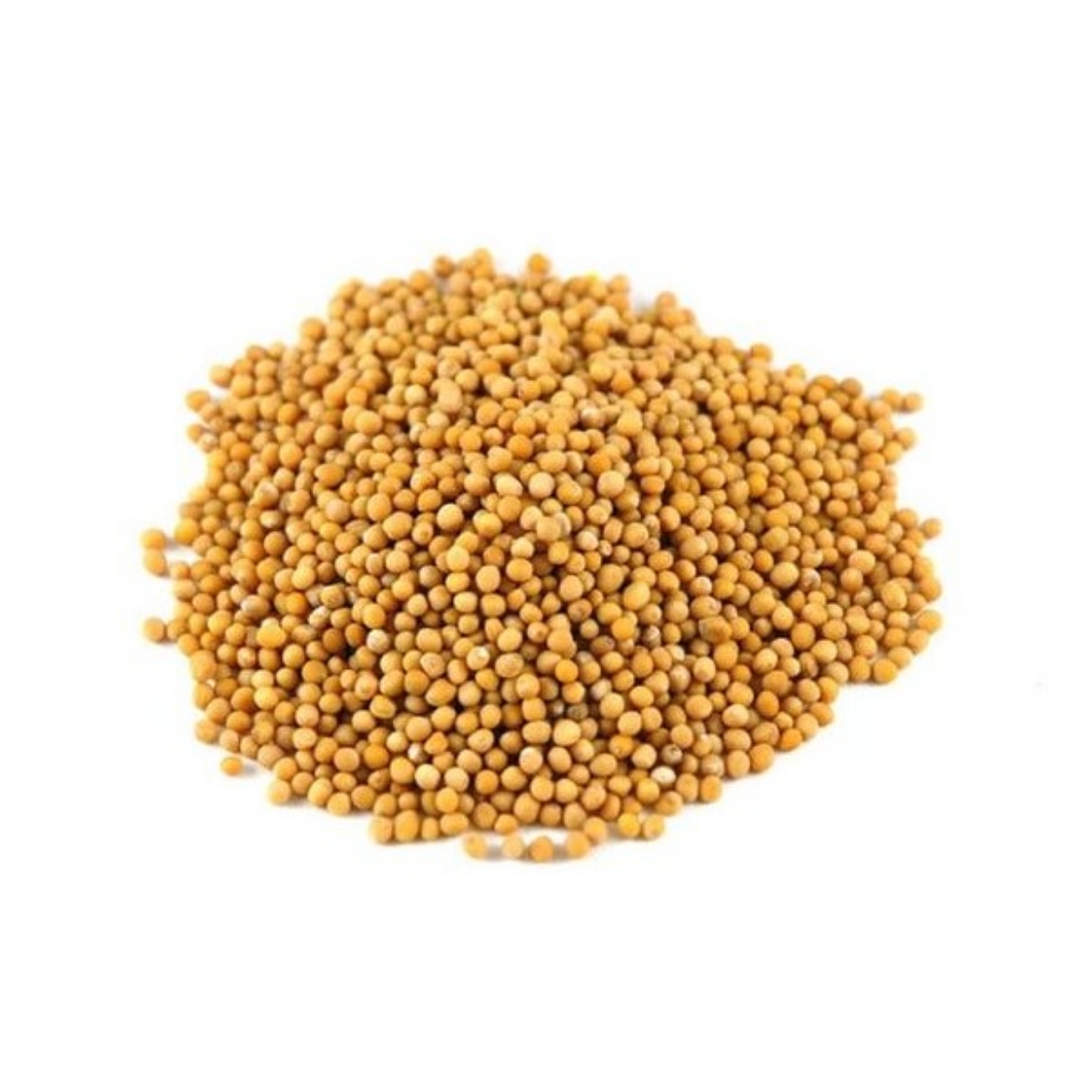 Picture of Mustard Seeds Yellow - Chefmaster - 1 kg