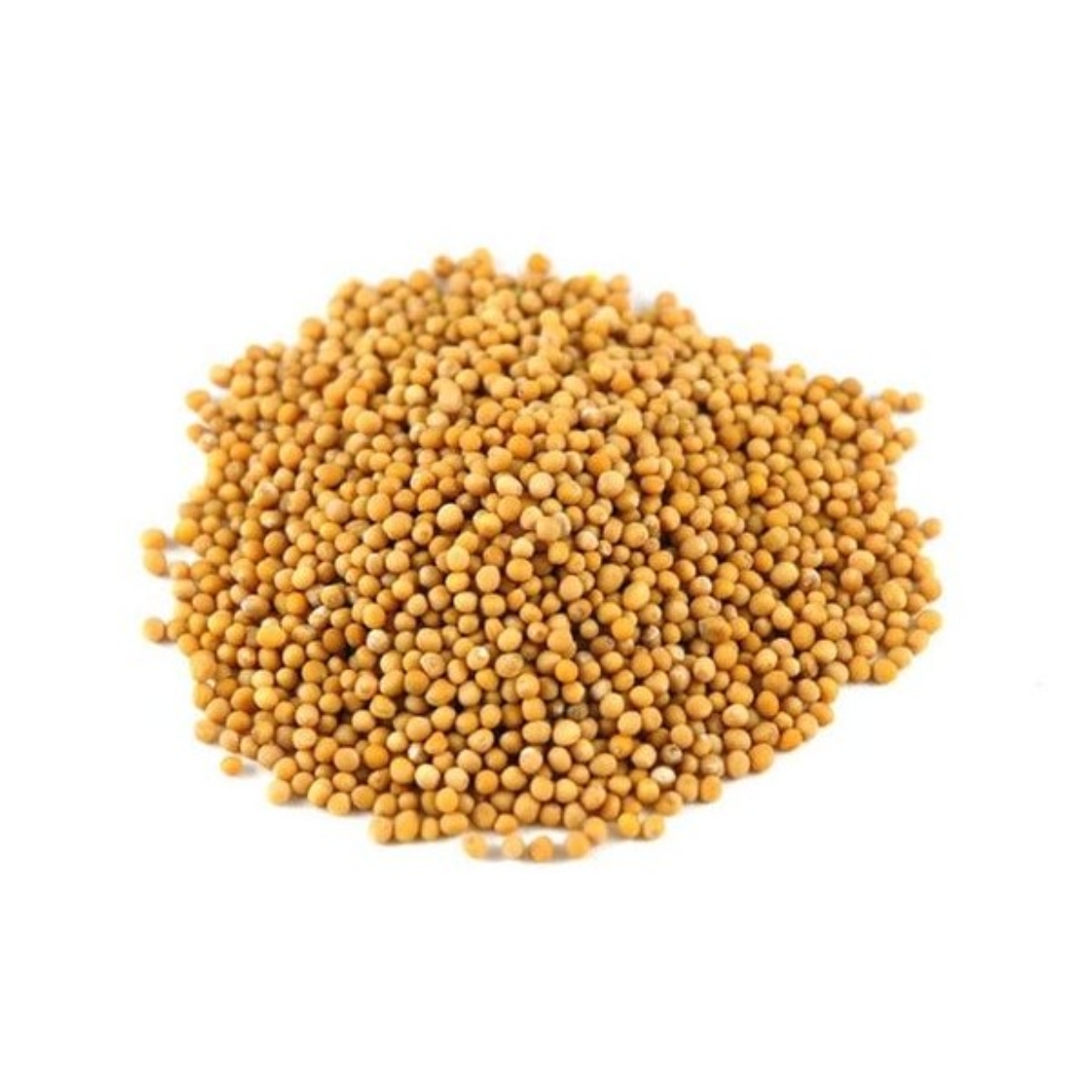 Seeds Mustard Yellow 1kg-CHEF MASTER の画像