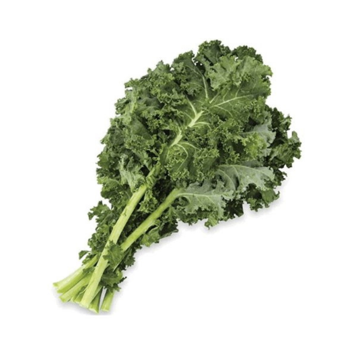 Picture of Kale Green Bunch