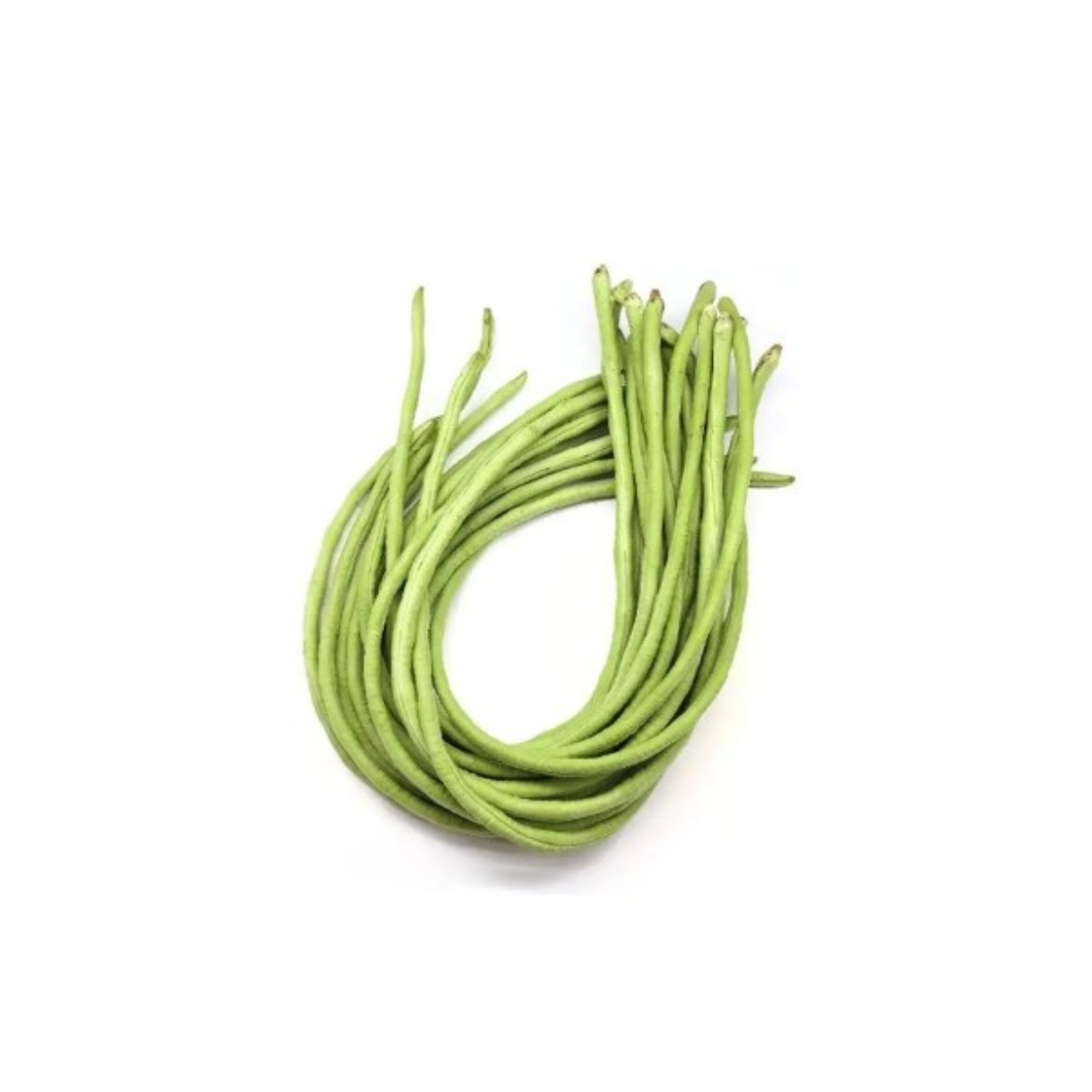 Picture of Beans Snake