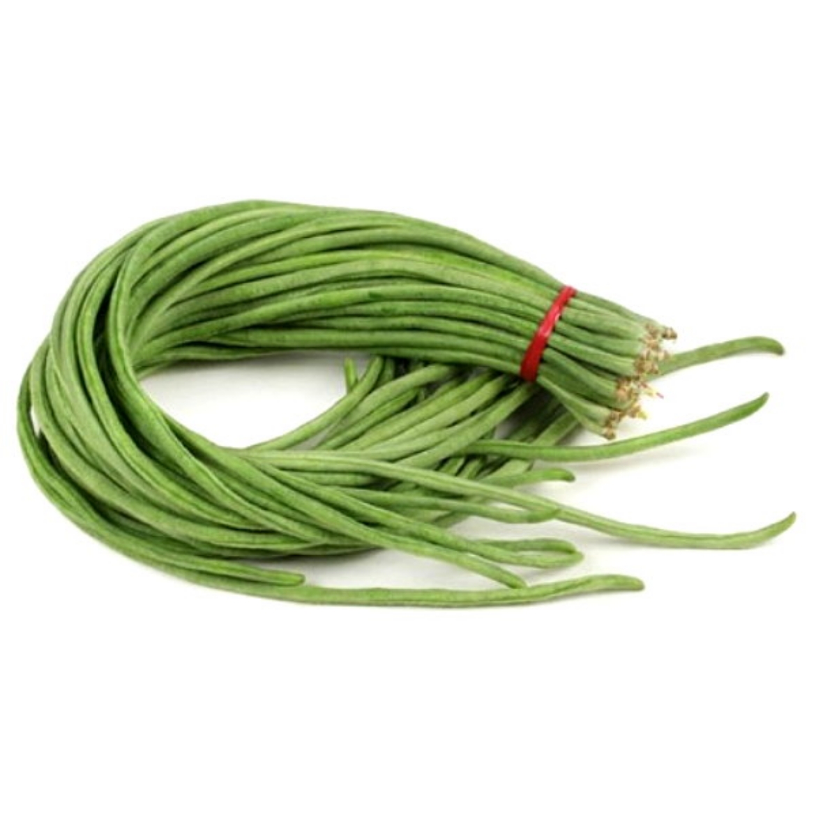 Picture of Beans Snake  