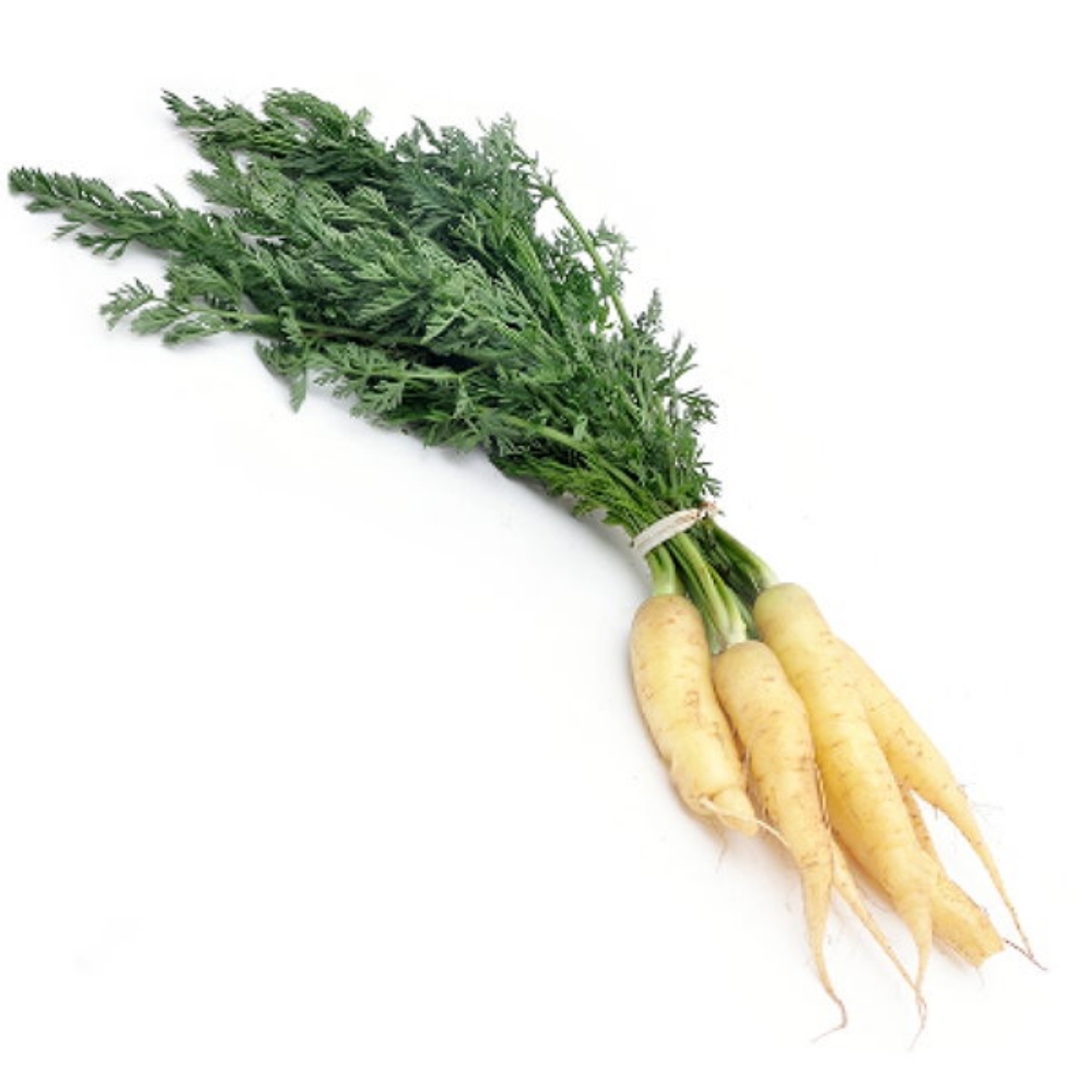 Picture of Carrots Baby White 