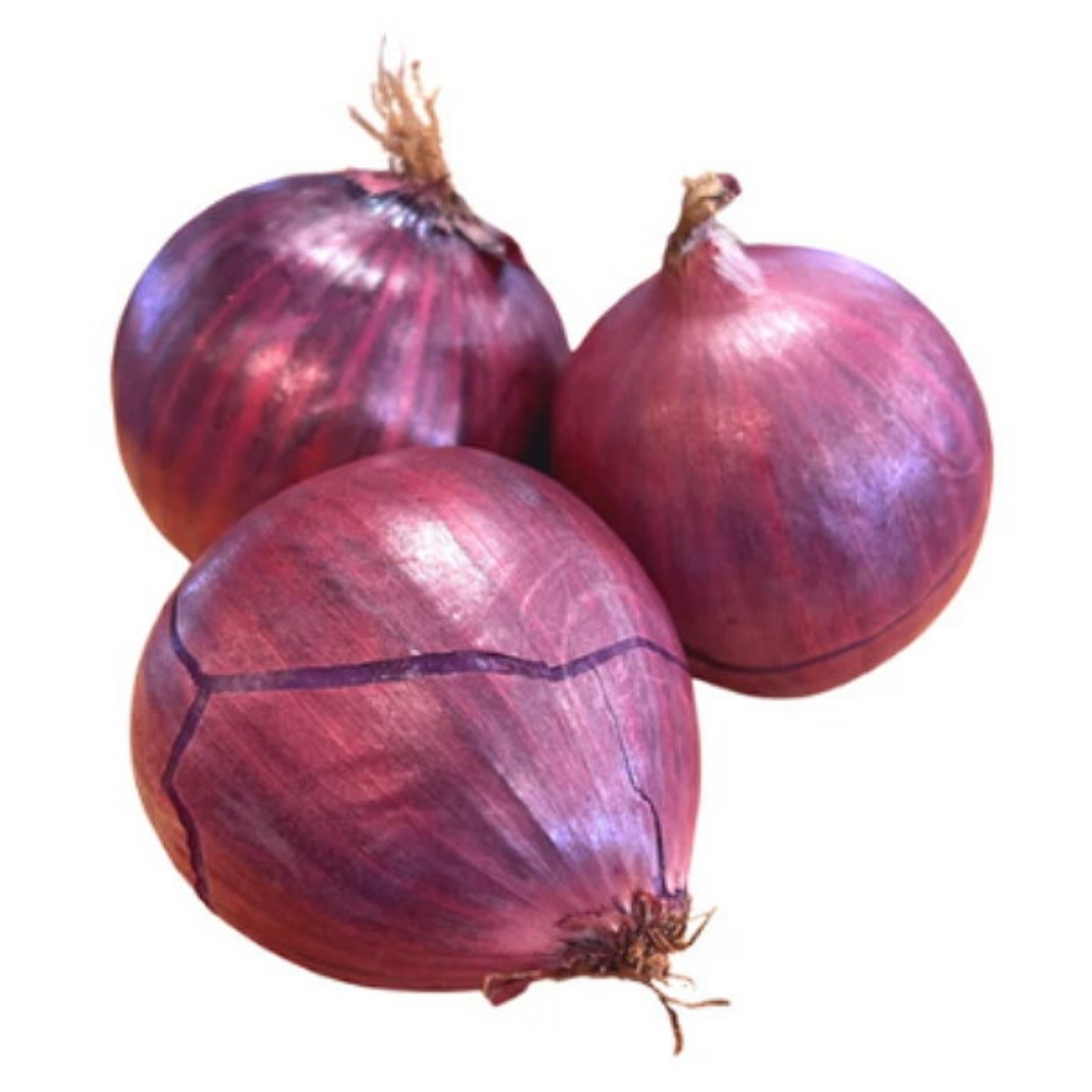 Picture of Onion Red 
