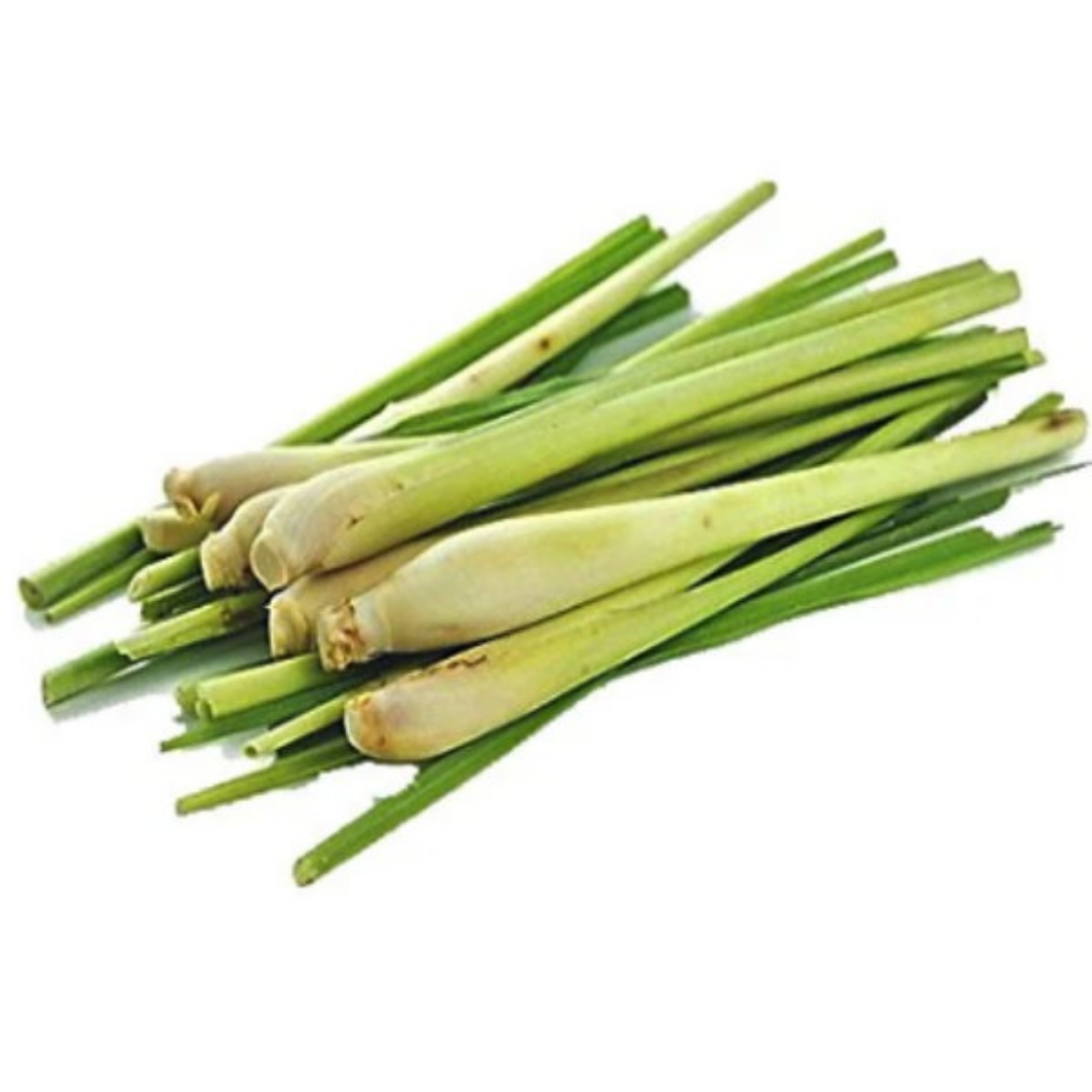 Picture of Lemongrass