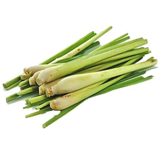 Picture of Lemongrass