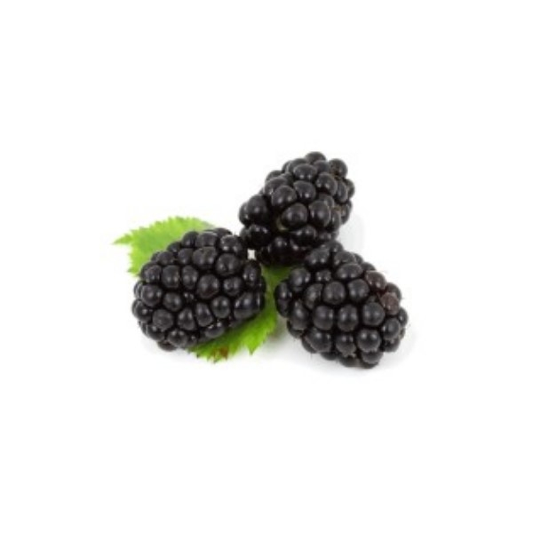 Picture of  Blackberries (Pn)