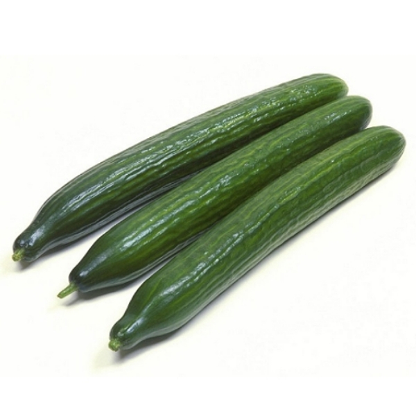 Picture of Cucumber Continental