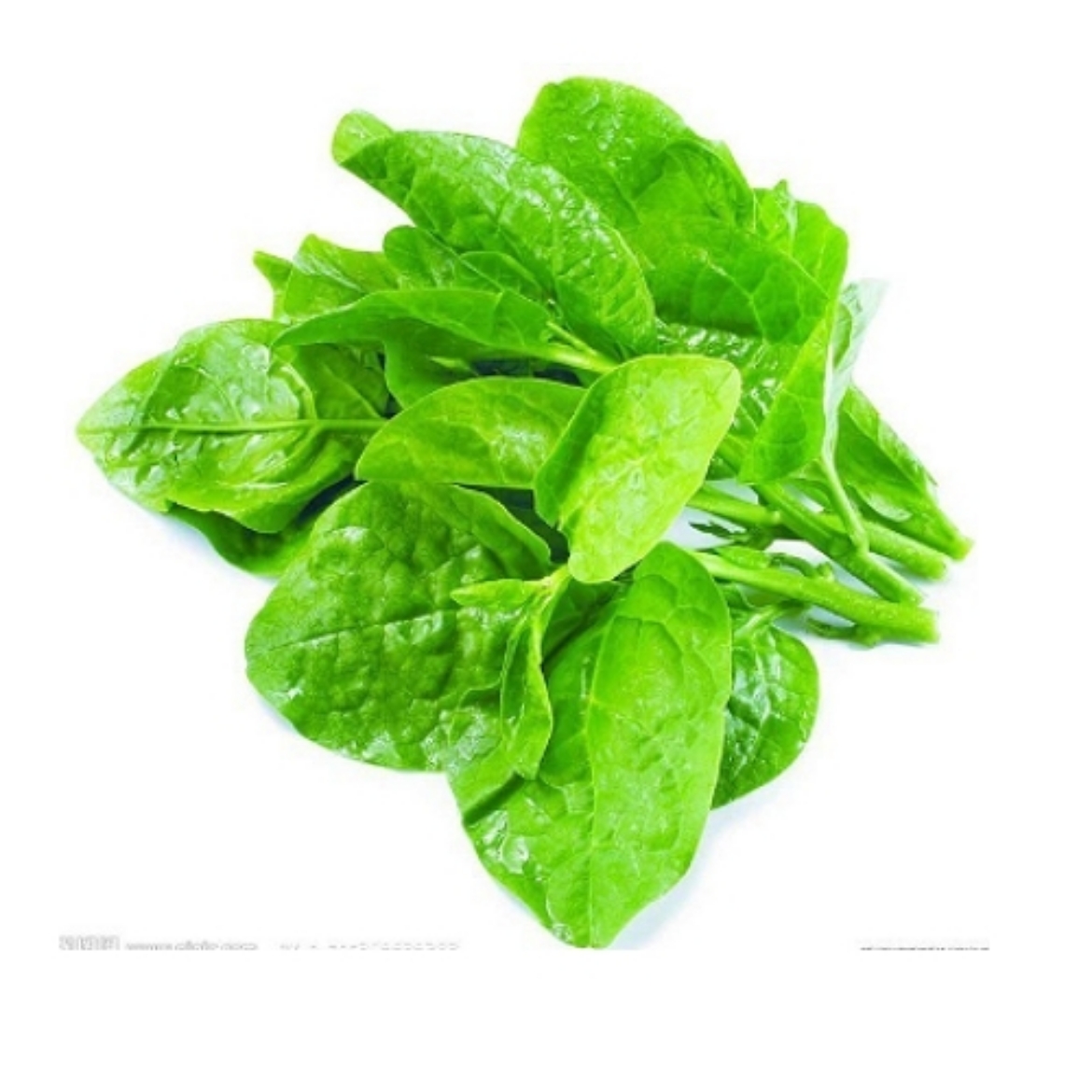 Picture of Spinach Baby 100g