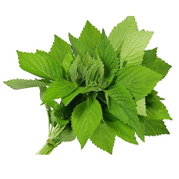 Picture of Mint  Vietnamese (Bunch)