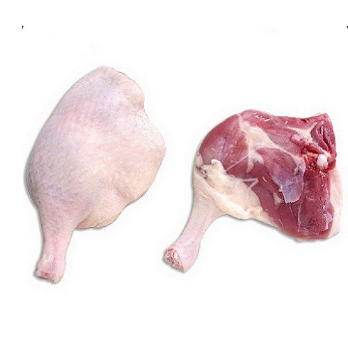 Picture of Duck Leg