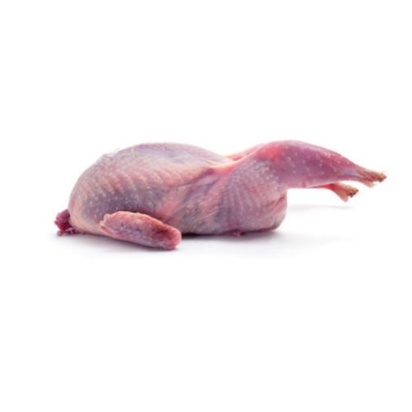 Picture of Quail