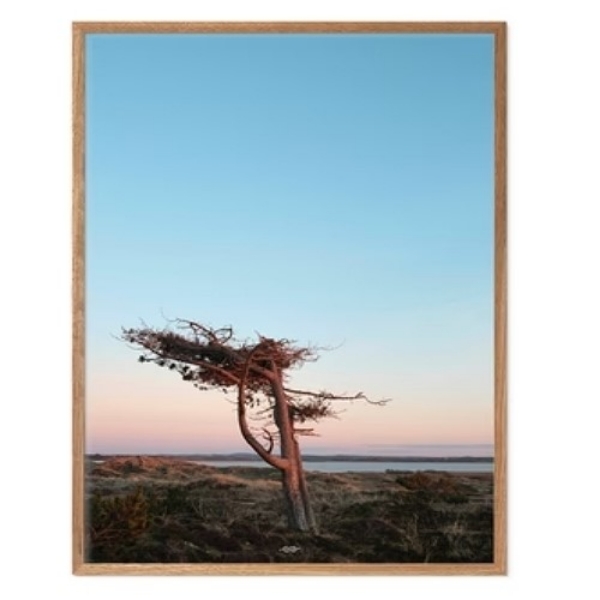 Picture of Digiprint 50x70