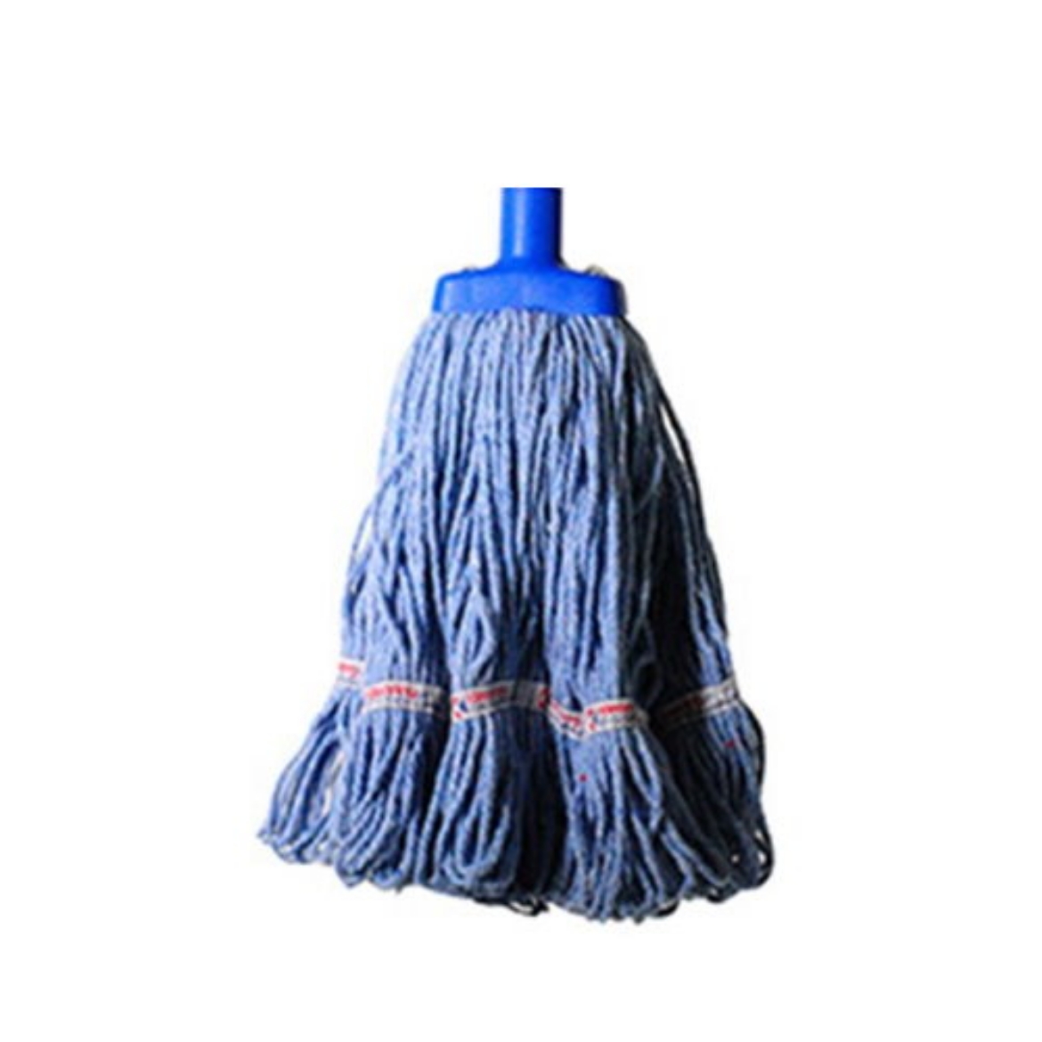 Picture of mophead