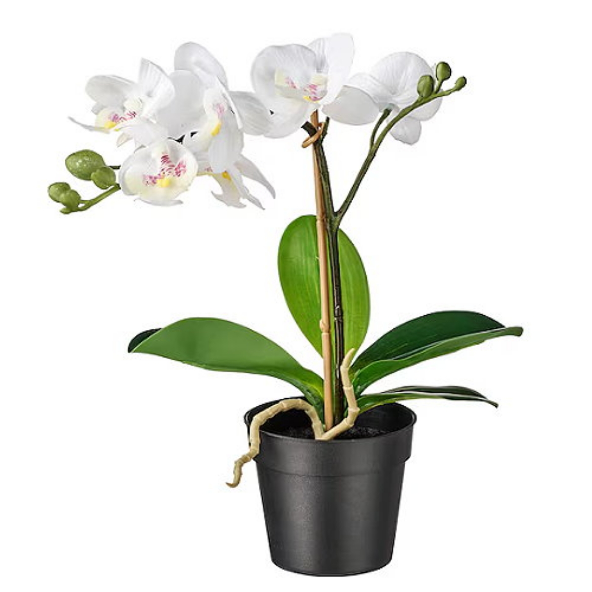 Picture of Artificial potted plant, Orchid white,9cm