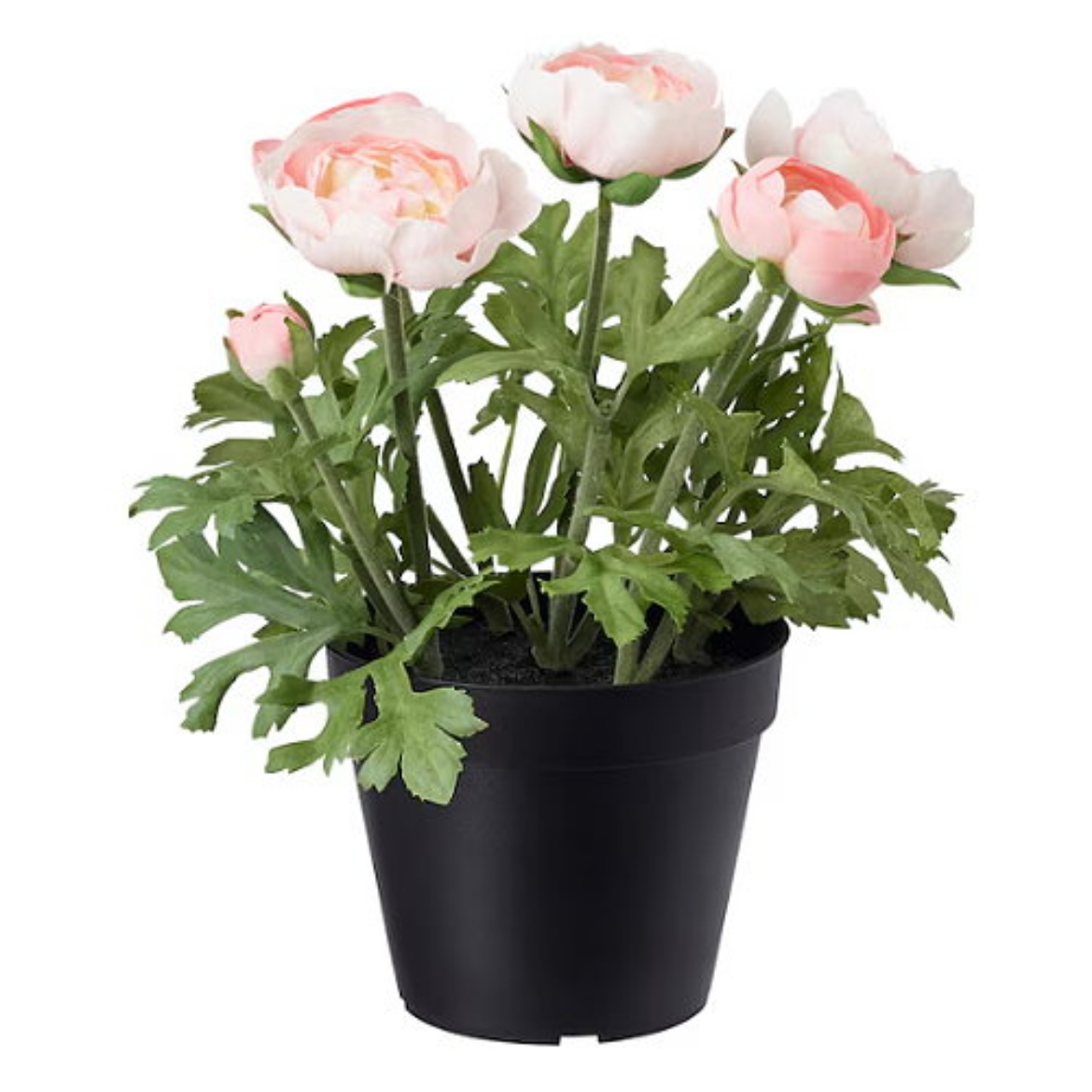 Picture of Artificial potted plant, in/outdoor/Ranunculus pink, 12 cm 