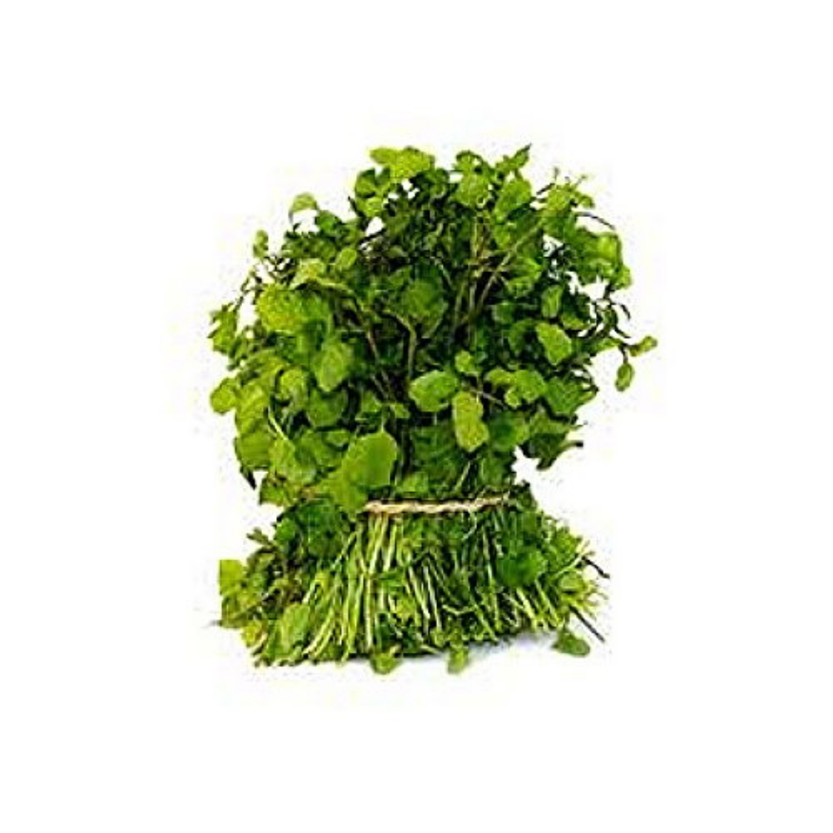 Picture of Watercress