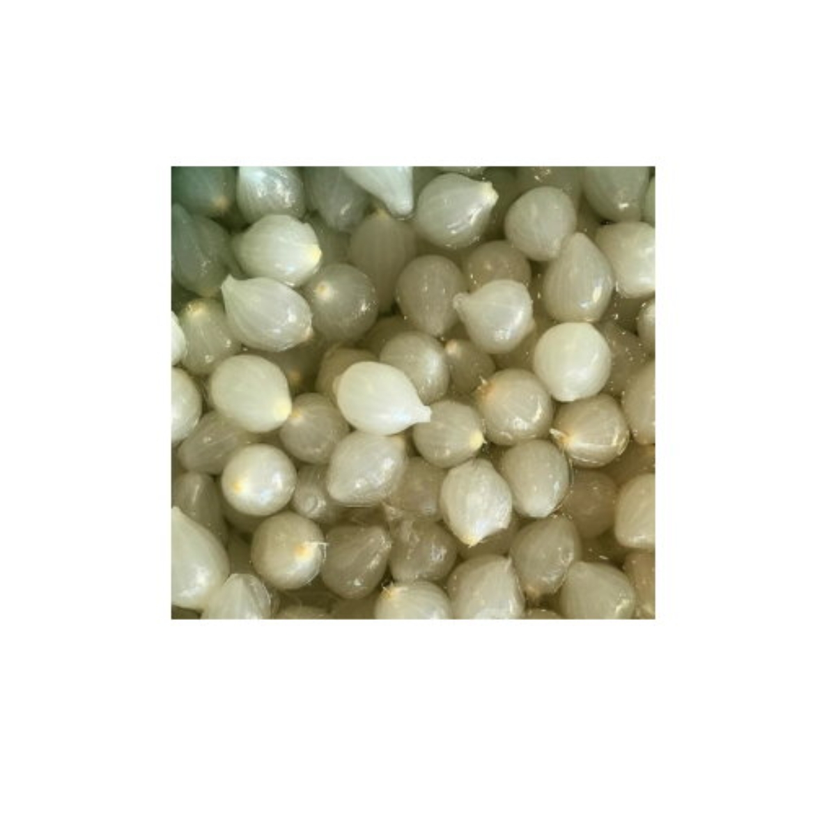 Picture of Onions Cocktail