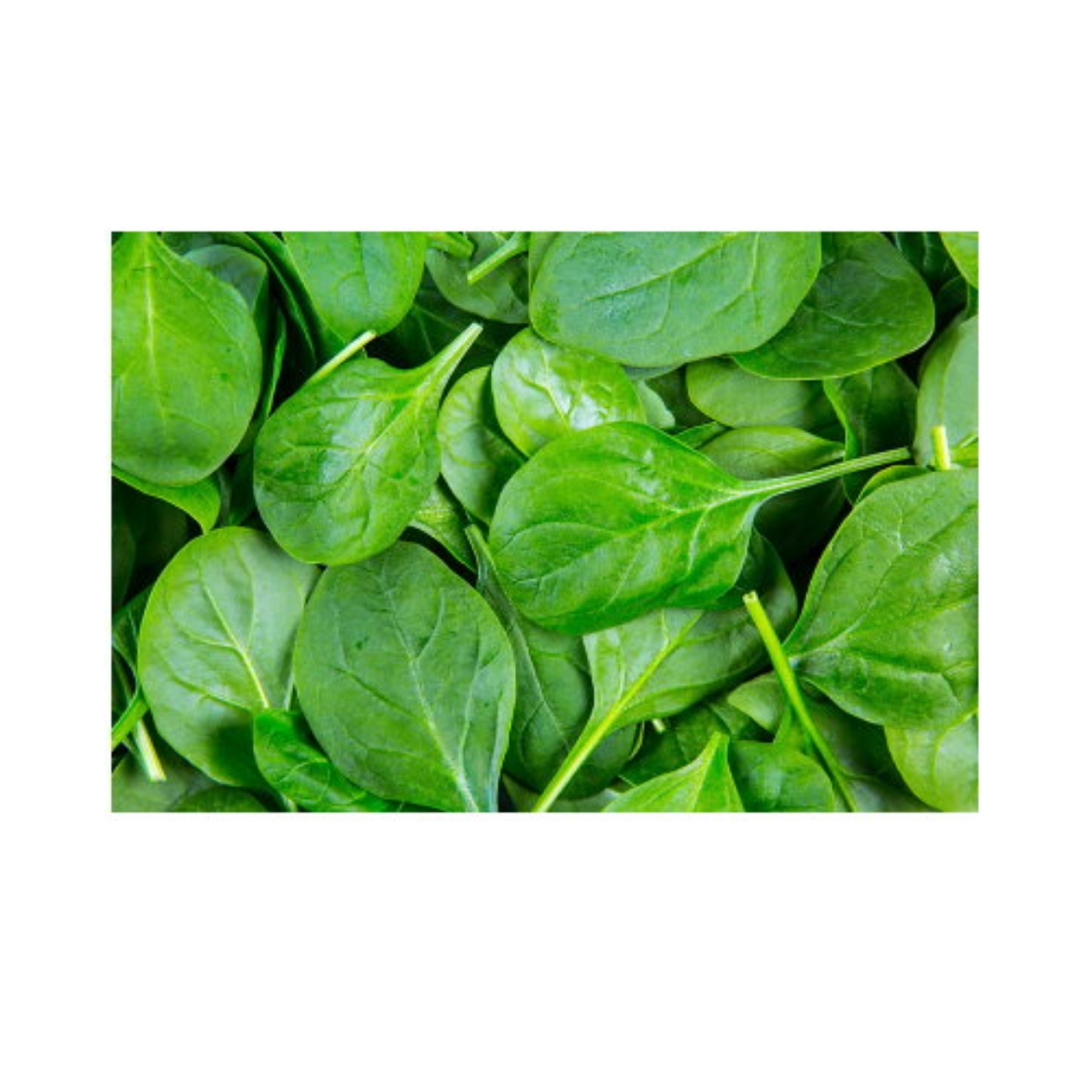 Picture of Spinach Baby 1Kg