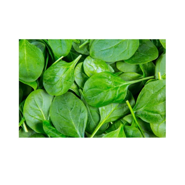 Picture of Spinach Baby 1Kg