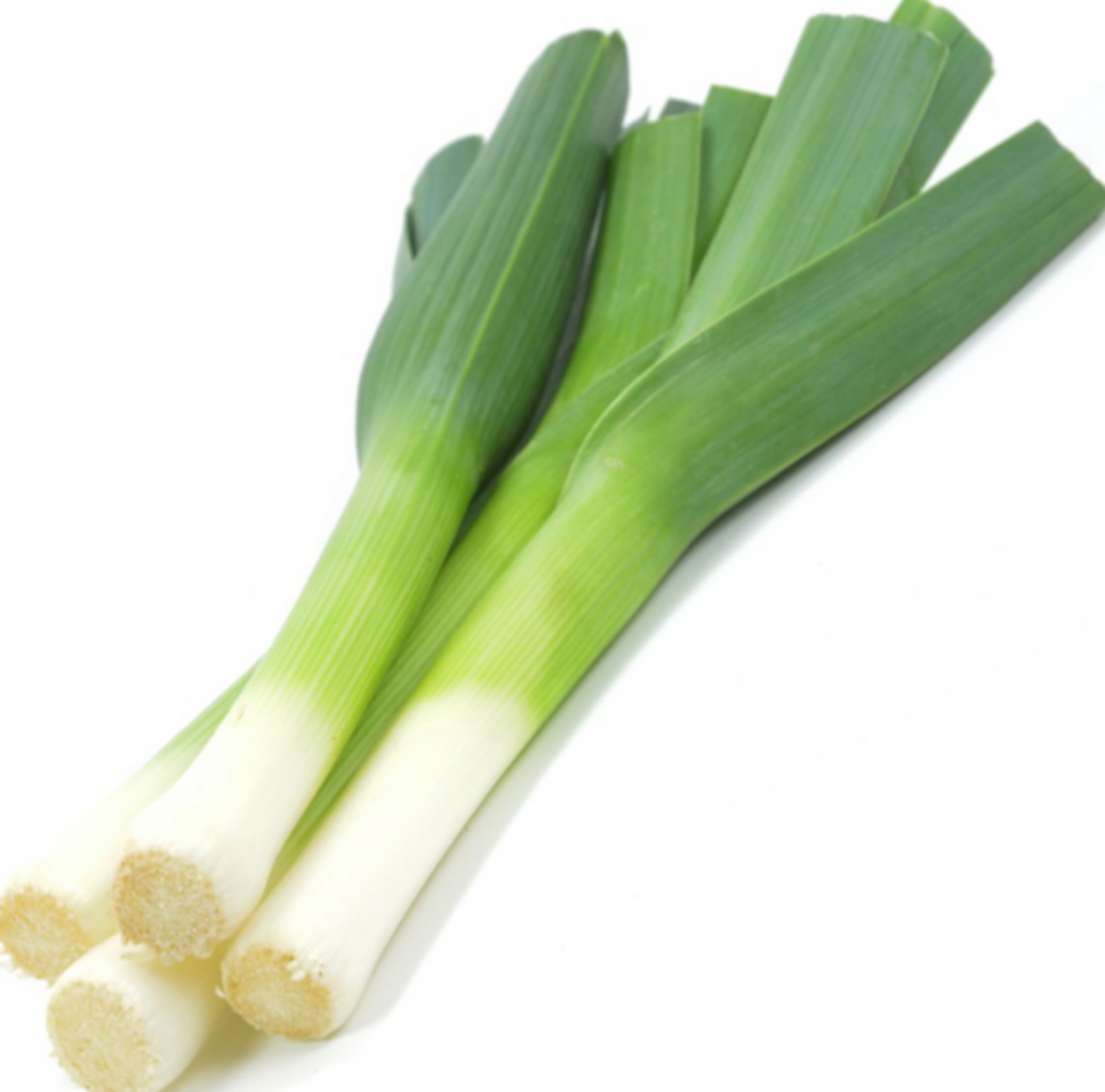 Picture of Leeks 