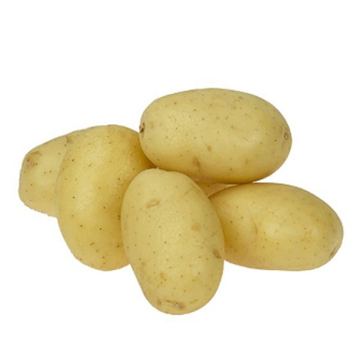 Picture of Potatoes Large White