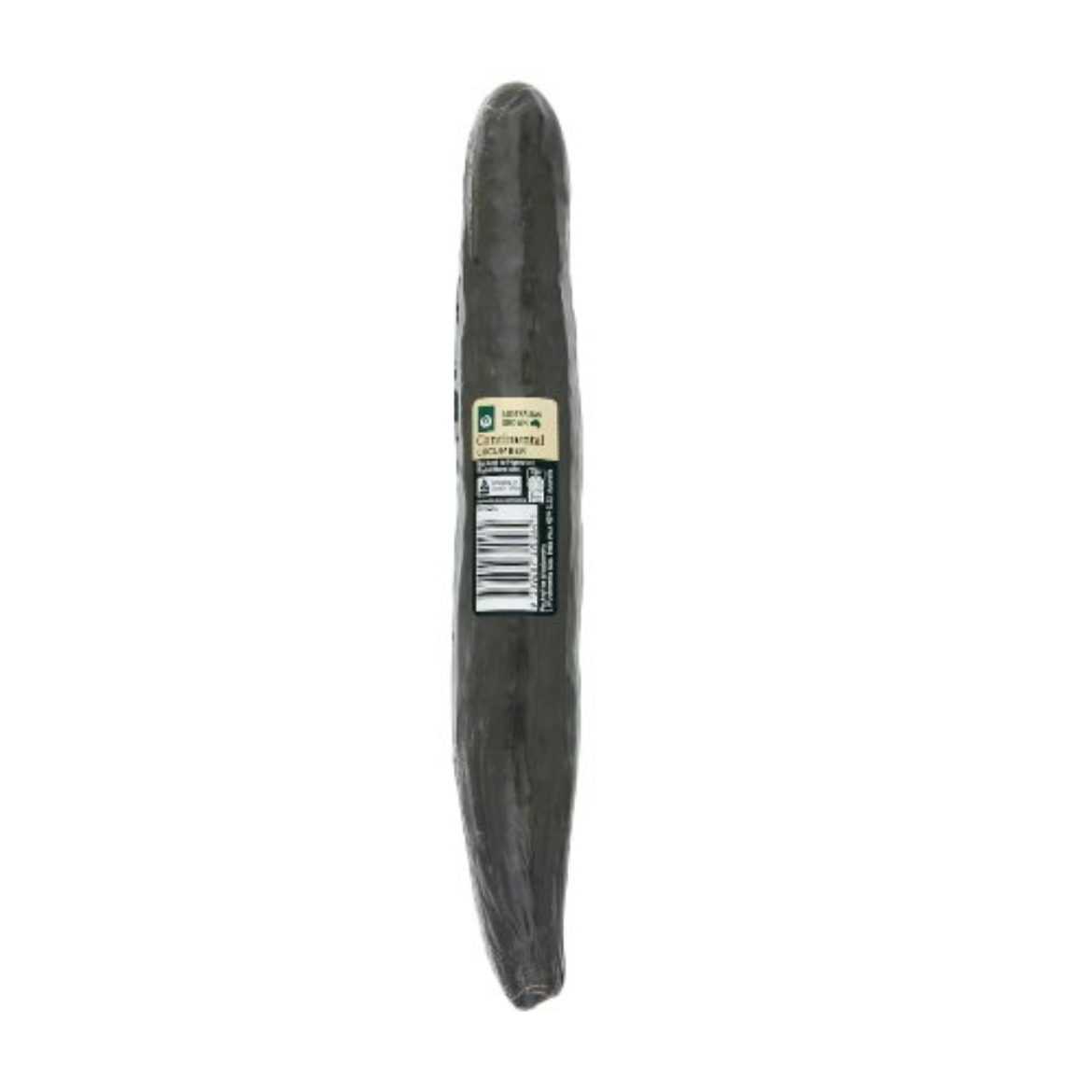 Picture of Cucumber Continental