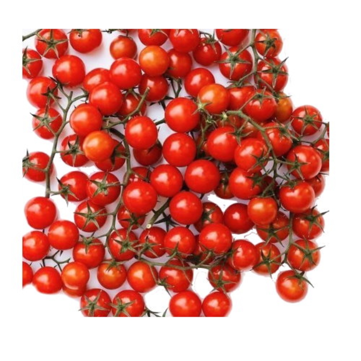 Picture of Tomatoes Truss