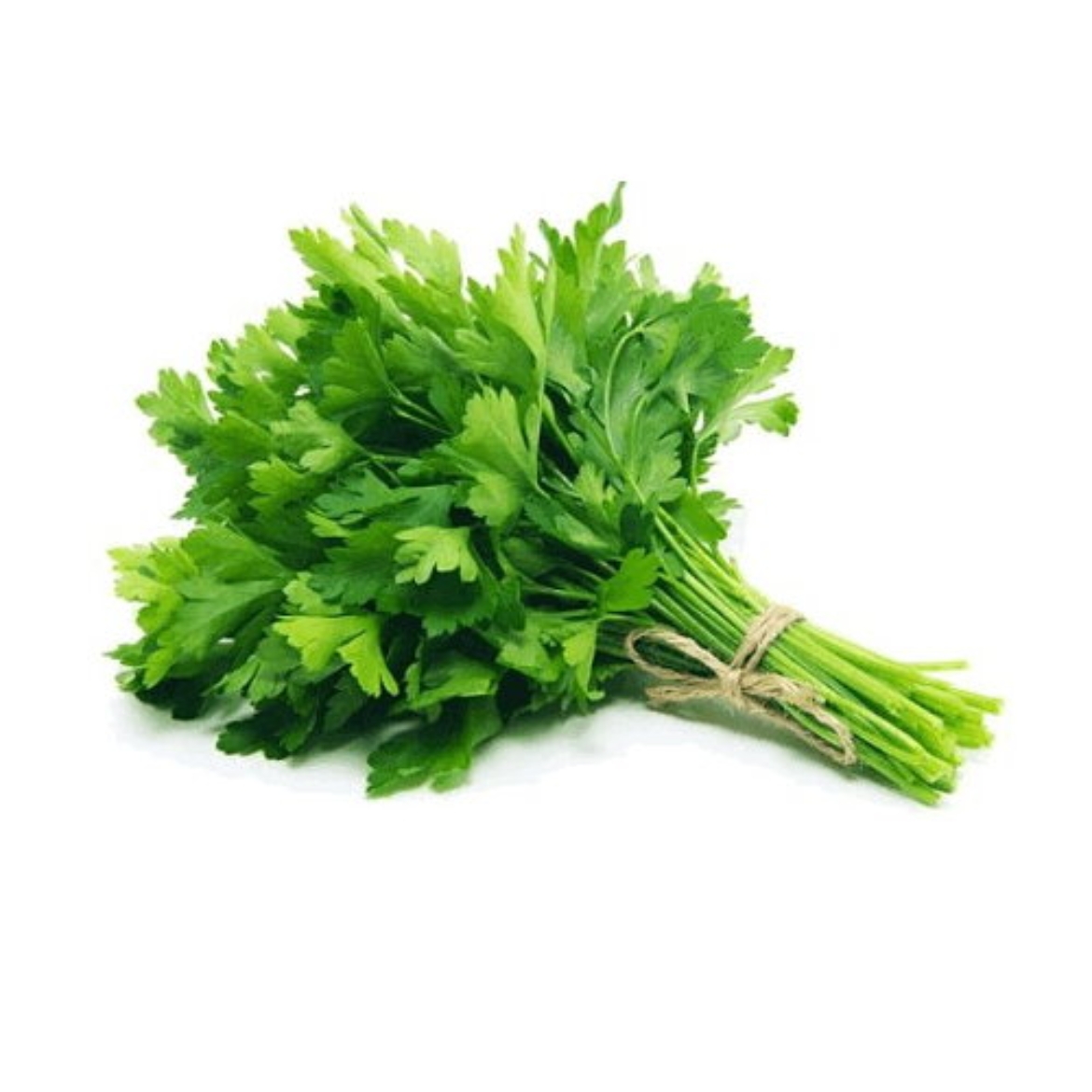 Picture of Parsley Continental