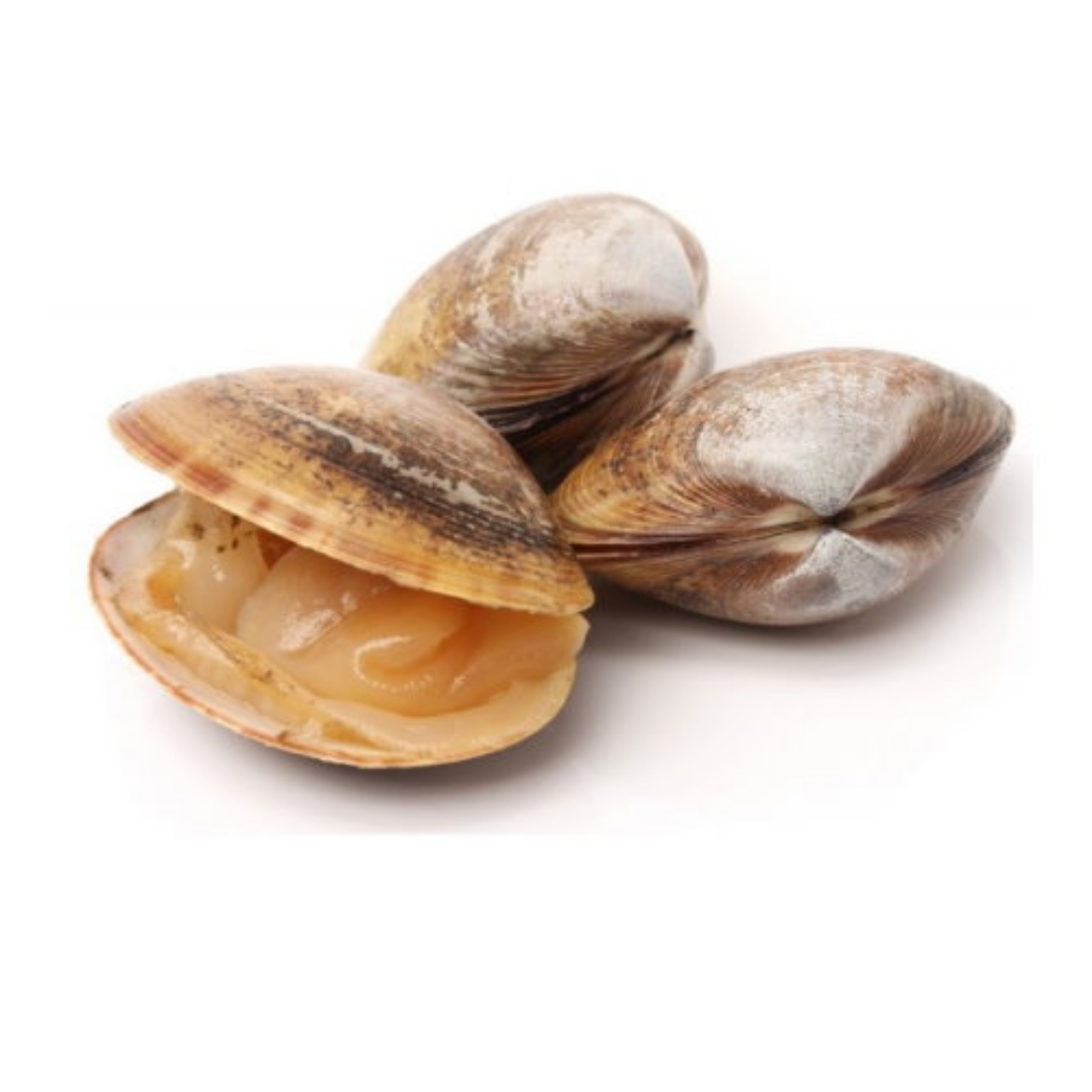 Picture of Clams Kink Short Neck 500g
