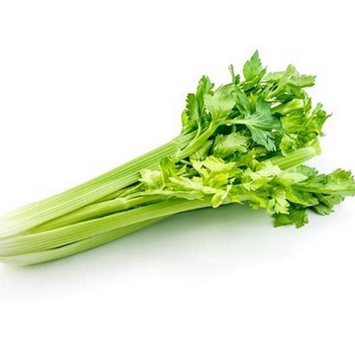 Picture of Celery