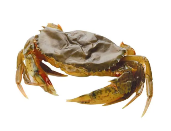 Picture of Crab salted frozen 400g- coconut tree