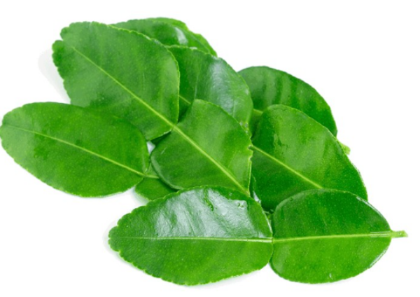 Picture of  Kaffir Lime Leaves 100g-Trophy Rd