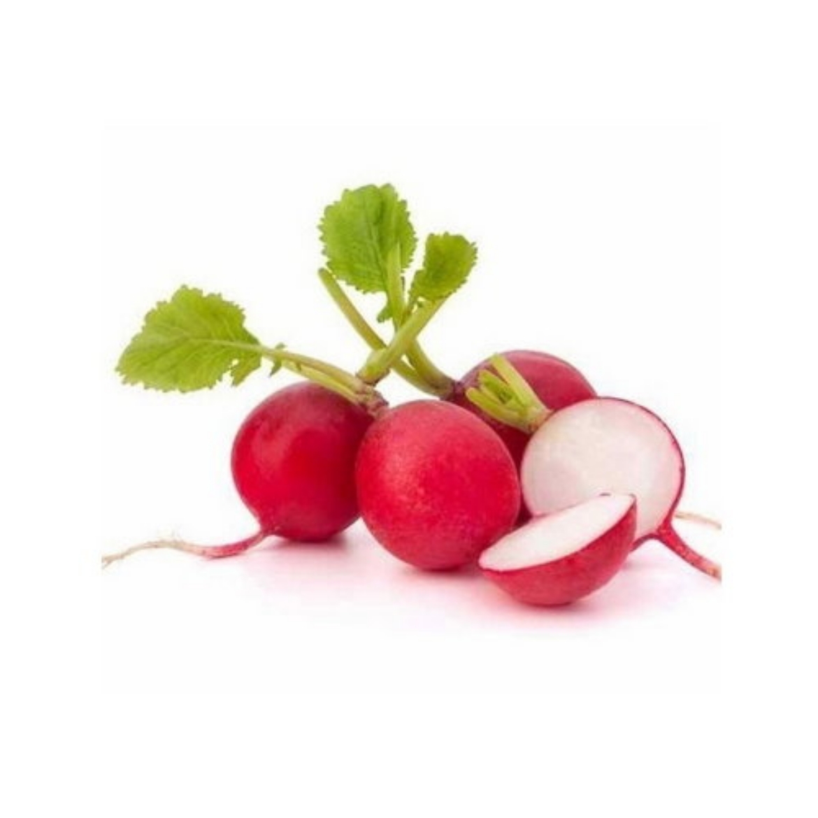 Picture of Red Radish Bunch